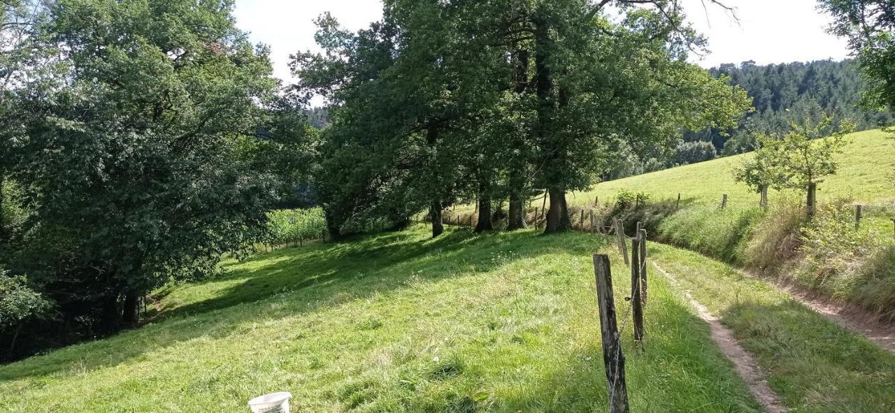 Suite A L'Oasis De Chamousset Brullioles Esterno foto